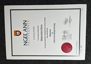 Ngee Ann Polytechnic diploma