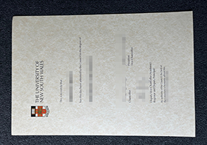 UNSW fake degree