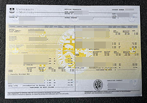 University of Manitoba transcript copy