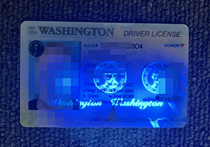fake driver license