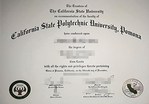 CPP diploma