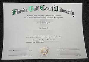 Florida Gulf Coast University diploma-1