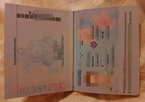 Malaysia passport