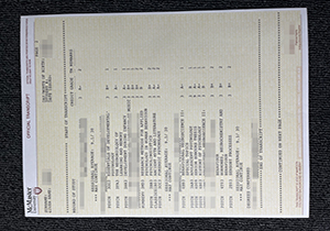McMaster University transcript