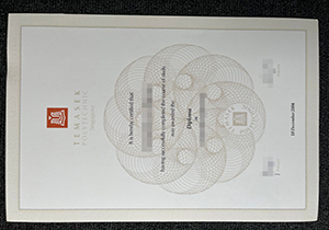 Temasek Polytechnic diploma