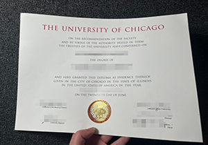 The University of Chicago degree