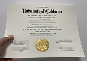 UCLA diploma