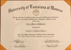 ULM diploma