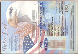 US passport