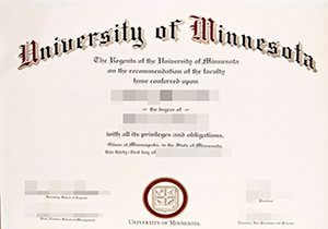 University of Minnesota degree