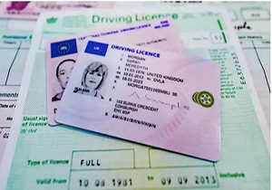 UK Driver's License