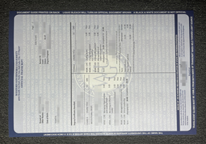 Western Governors University transcript