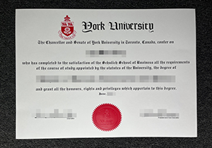 York University diploma