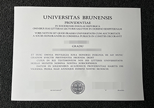 Brown University diploma