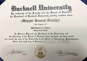 Bucknell University diploma