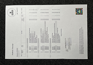 Deakin University transcript