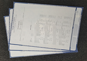 Emory University official transcript