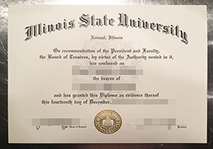 LSU diploma