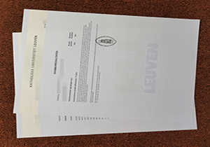 Katholieke Universiteit Leuven transcript