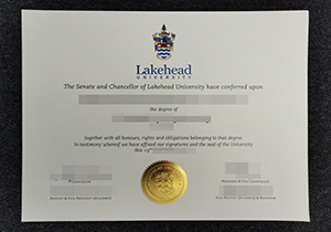 Lakehead University degree