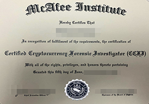 McAfee Institute certificate