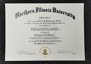 North Illinois University degree