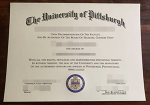 PITT diploma