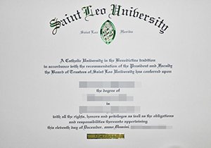 Saint Leo University degree