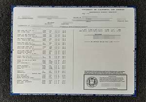 UCLA academic transcript
