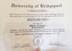 University of Bridgeport diploma