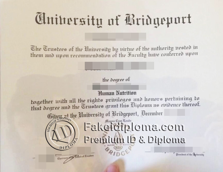 Printable fake University of Bridgeport diploma templates for sale