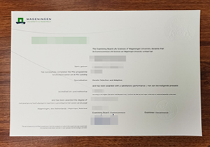 Wageningen University Research diploma
