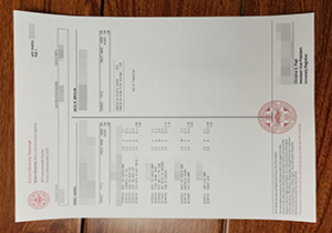 Boston University transcript