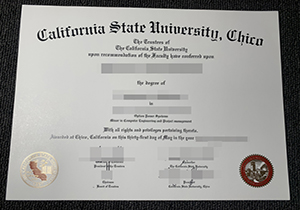 California State University Chico degree