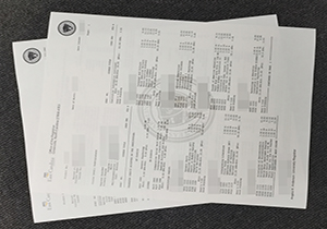 East Carolina University transcript