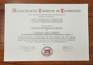 MIT degree