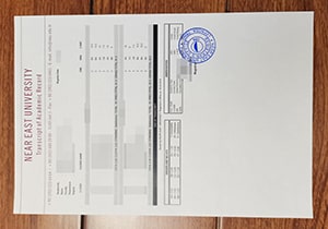 Near East University transcript