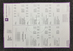 New York University transcript