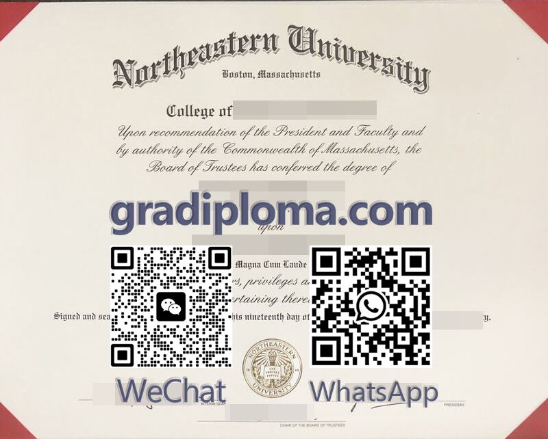 Northeastern University degree