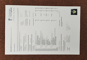 The University of Nottingham diploma supplement