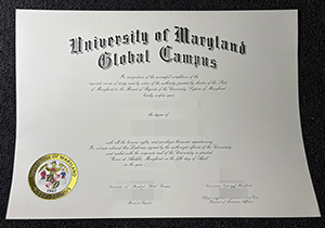 UMGC degree-1