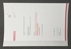 University of Bern diploma