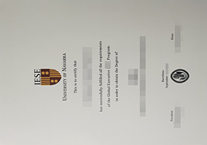 University of Navarra degree