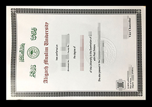 Aligarh Muslim University degree