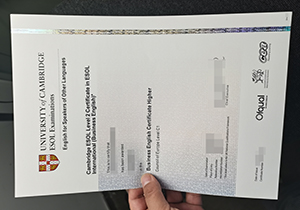 Cambridge ESOL Level 2 Certificate