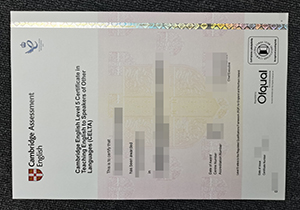 Cambridge English Level 5 Certificate