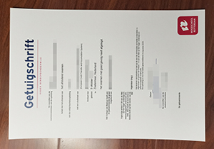 Hogeschool Rotterdam diploma