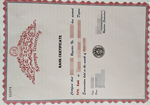Kuvempu University degree