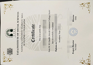 TISS degree