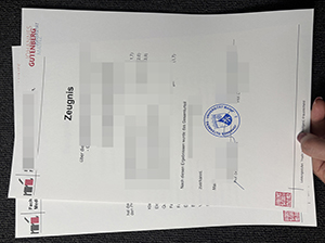 University of Mainz transcript-1